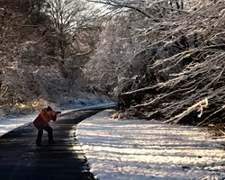 Photographer on a paved path with long shadows cast in front by side light coming through the trees